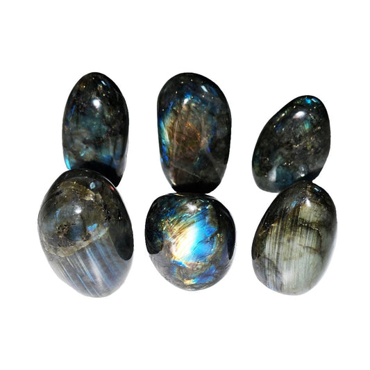 Labradorite levigata – taglia XS