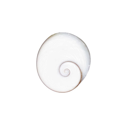 Pietra grezza di occhio di shiva