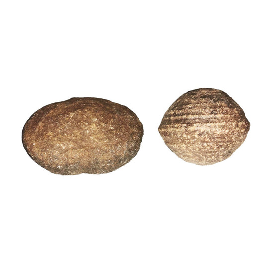 Pietra grezza di marmo moquis – Supérieur à 45 mm