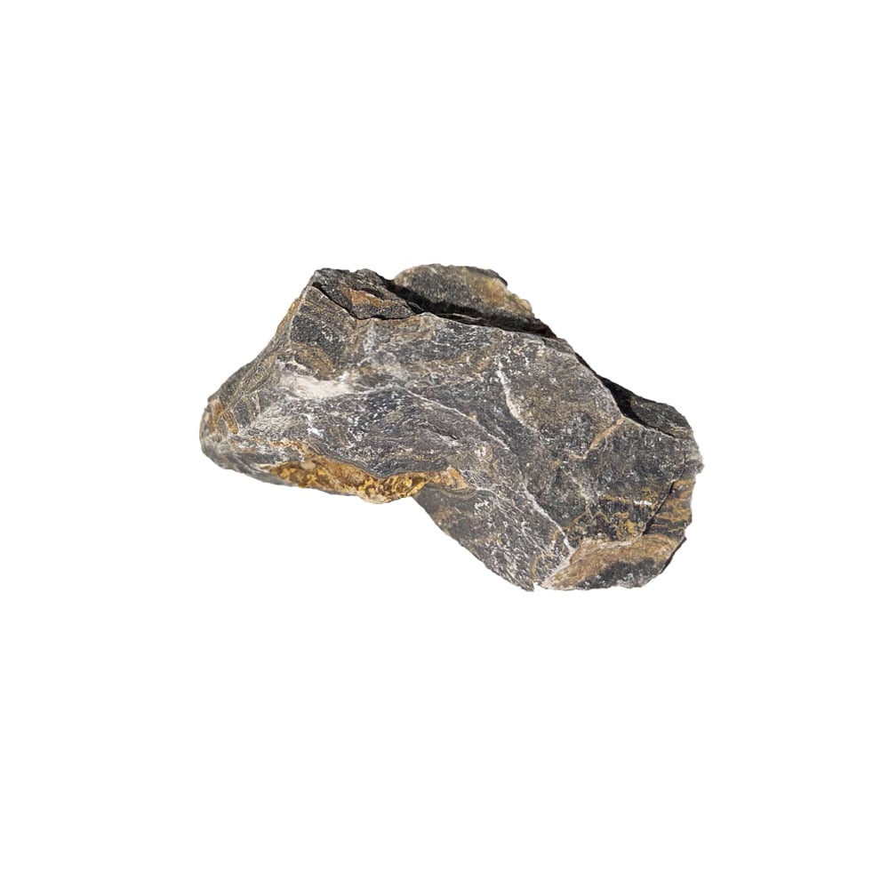 Pietra grezza di stromatolite