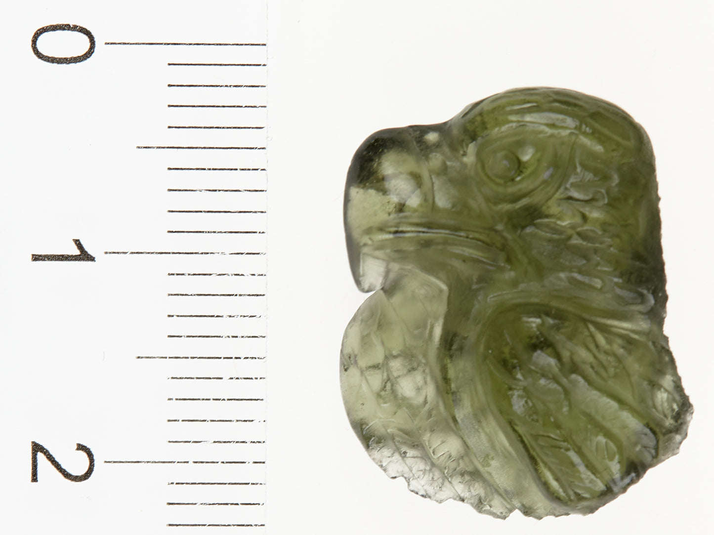 Glittico – aquila 1