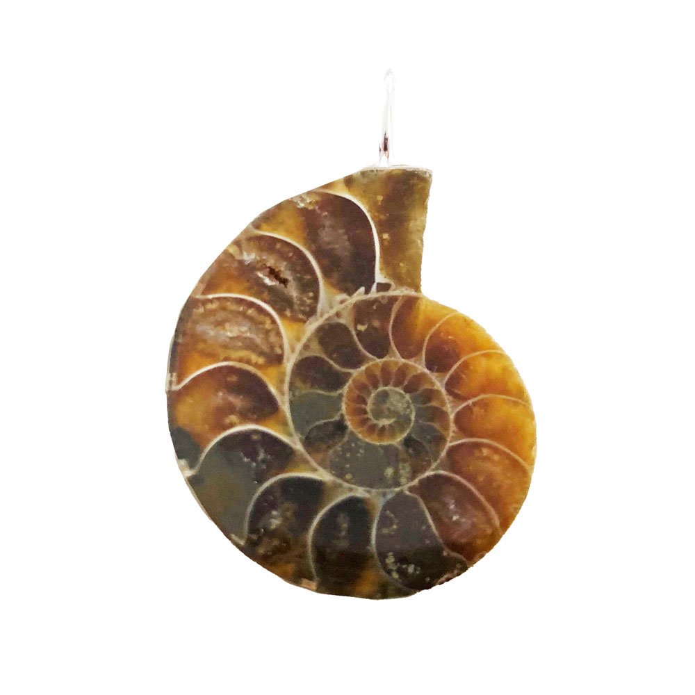 Ciondolo Ammonite – Pietra grezza