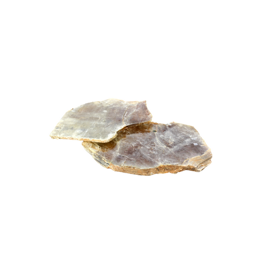 Annite