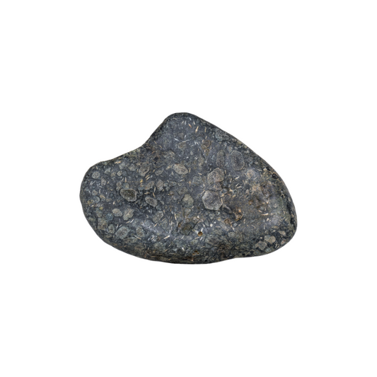 Augite