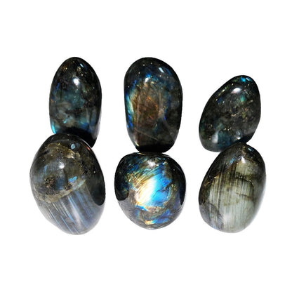Labradorite levigata – taglia XS
