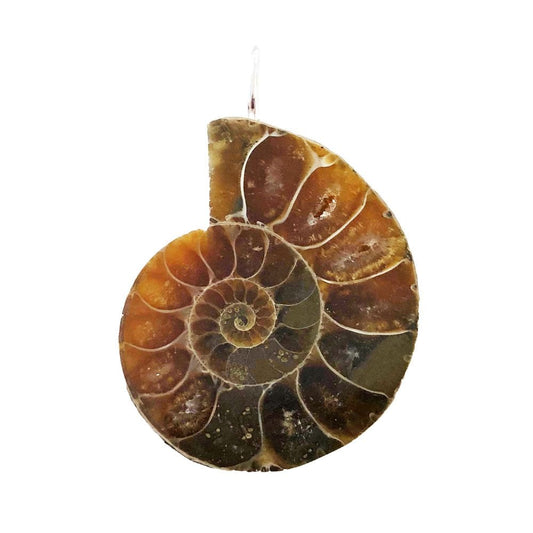 Ciondolo in ammonite – Pietra grezza
