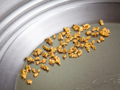 Pepite d'oro – 5 g – entre 0.1 cm e 0.6 cm