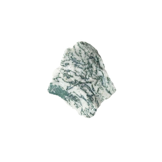 Pietre grezze 1 kg di agata albero