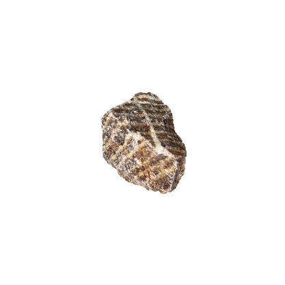 Pietre grezze 1 kg di aragonite marrone