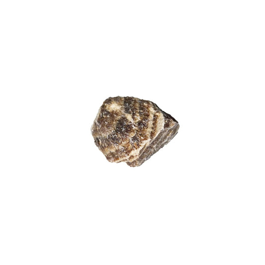 Pietra grezza di aragonite marrone