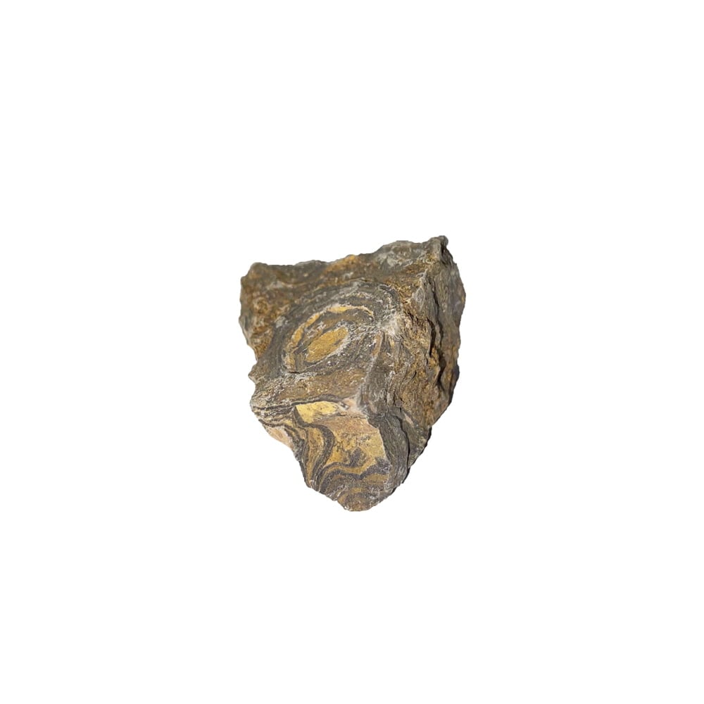 Pietre grezze 1 kg di stromatolite
