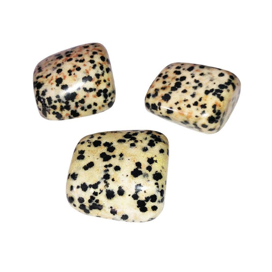 Pietre burattate 1 kg di diaspro dalmata