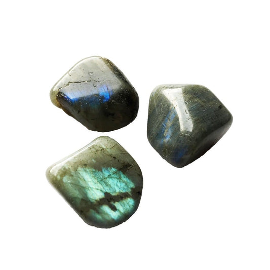 Pietra burattata di labradorite