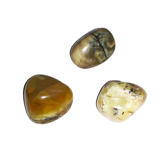 Pietre burattate 500 g di opale gialla