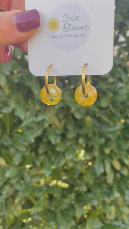 Charm Mimosa