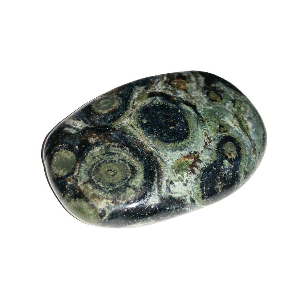 Kambamba Jasper Ciottolo