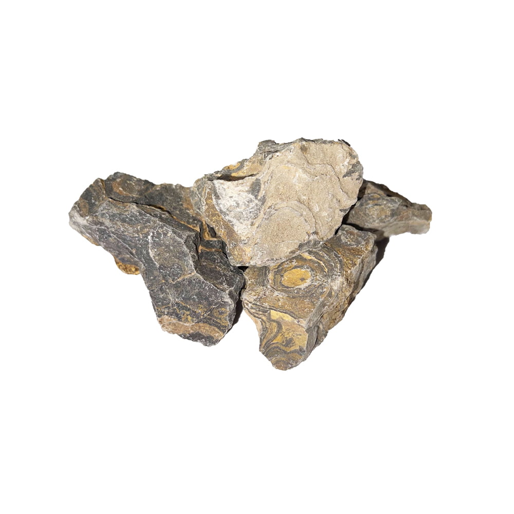 Stromatolite di pietra grezza