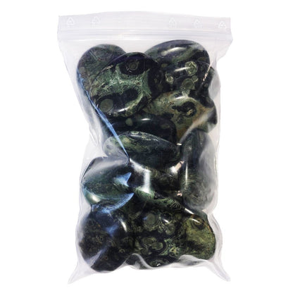 Kambamba Jasper Ciottolo